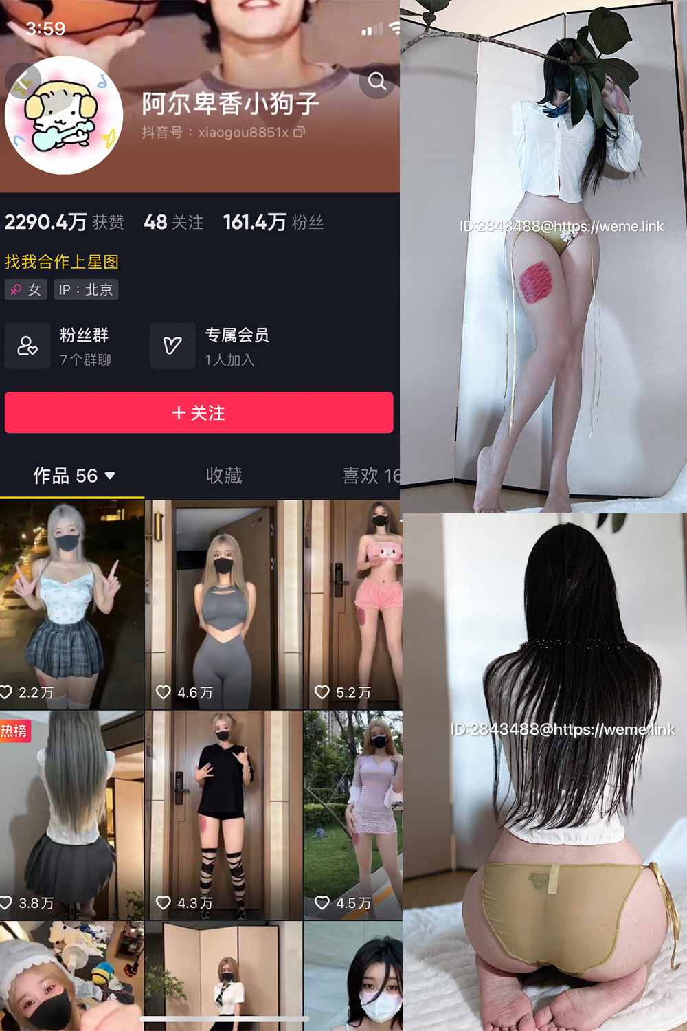 抖音 阿尔卑香小狗子 微密圈  NO.047期 【39P】最新至：2024.6.10-私密小圈