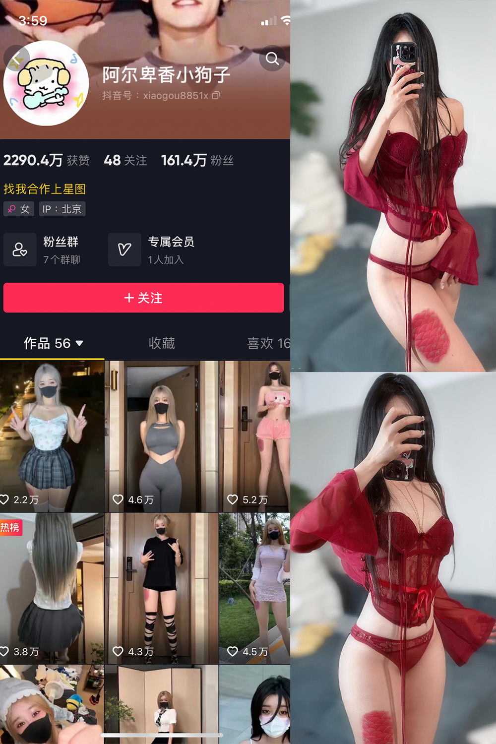 抖音 阿尔卑香小狗子 微密圈  NO.056期 【10P2V】最新至：2024.8.25-私密小圈